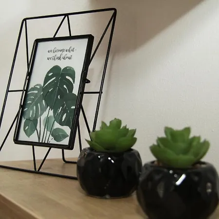 Antea 比奥格勒·纳·莫鲁