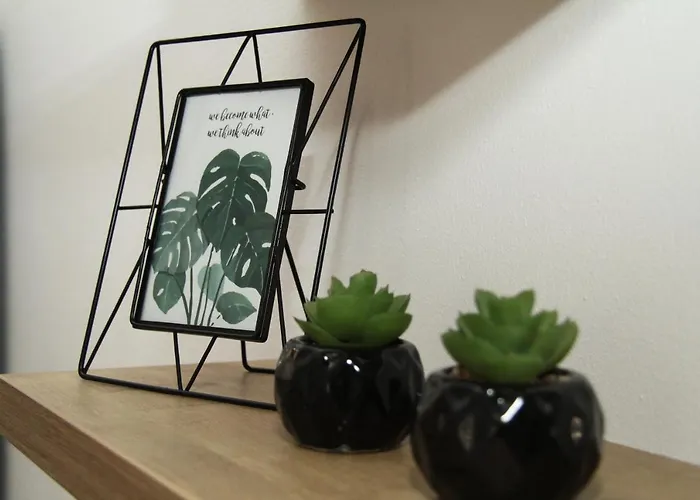 Antea 比奥格勒·纳·莫鲁